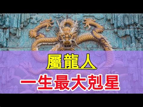 屬龍適合的字|【屬龍適合的字】屬龍者取名必看！適合用字報你知，助你龍年行。